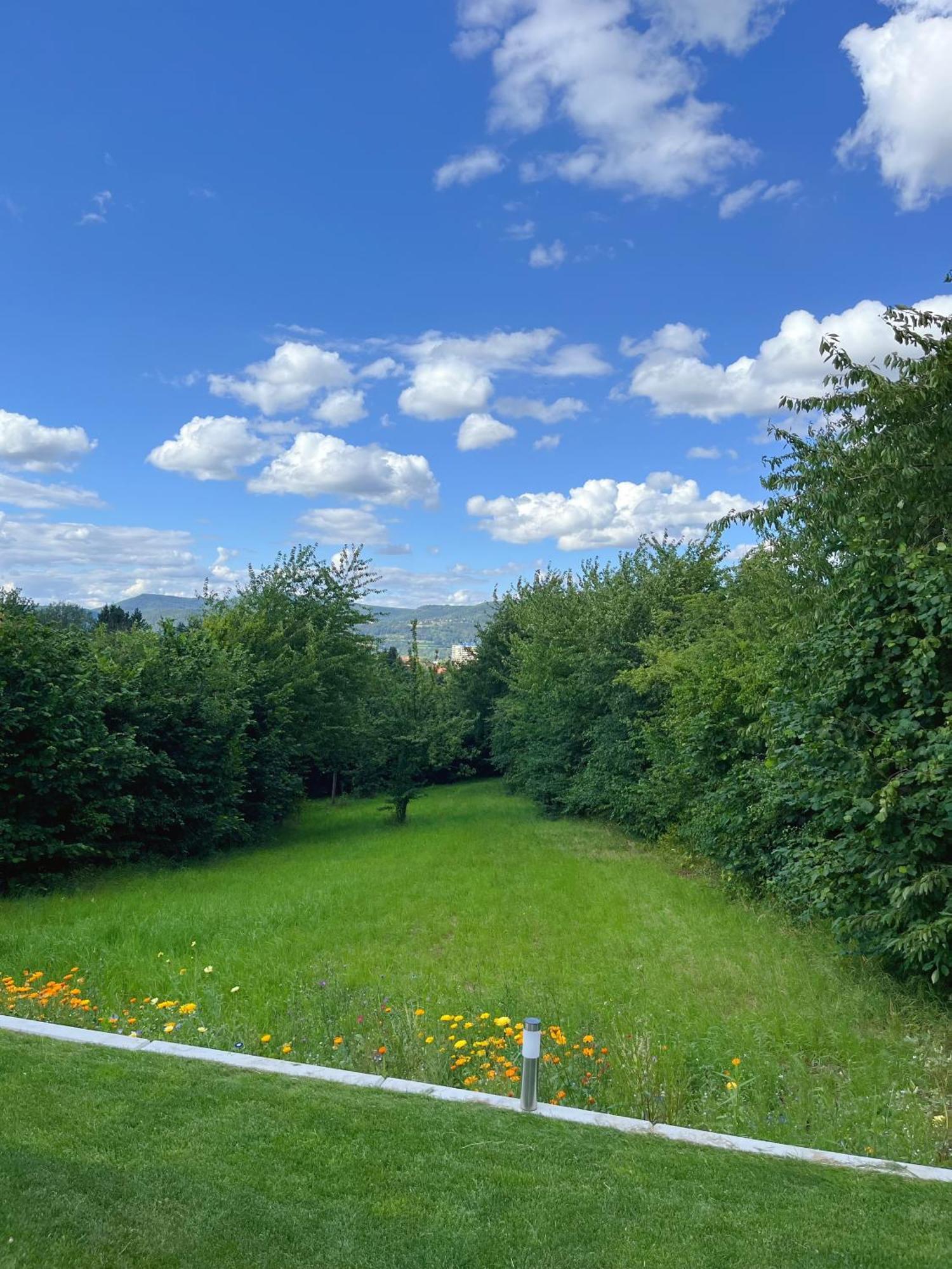 Neu Sanierte Wohnung Fuer 2-4 P Eschwege Exteriör bild